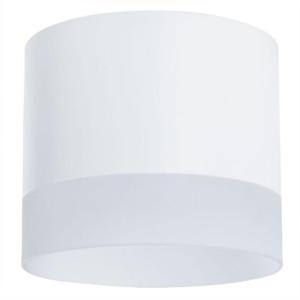 Накладной светильник A5554PL-1WH Arte Lamp