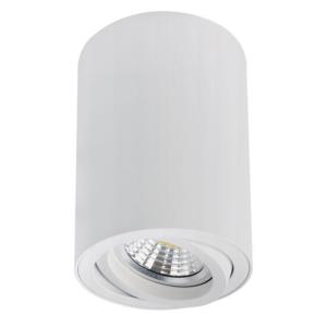Накладной светильник Sentry A1566PL-1WH Arte Lamp
