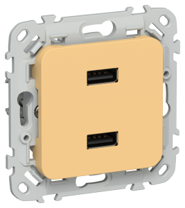 Розетка USB A+A 3,1А С/У Золотарник FLITE