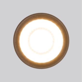 Потолочный светильник Light 35132/H 15W 4000K черный Elektrostandard