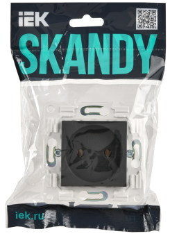 Розетка 1-м 10А С/У Титан Skandy