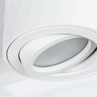 Накладной светильник A5559PL-1WH Arte Lamp