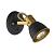 Спот A1677AP-1GO Arte Lamp