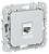 Розетка RJ45 кат.6 UTP С/У Жемчуг FLITE