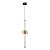 Подвесной светильник Rigla A6838SP-12AM Arte lamp