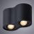Накладной светильник A5645PL-2BK Arte Lamp